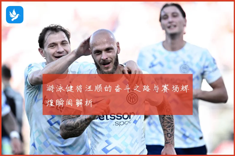 游泳健将汪顺的奋斗之路与赛场辉煌瞬间解析
