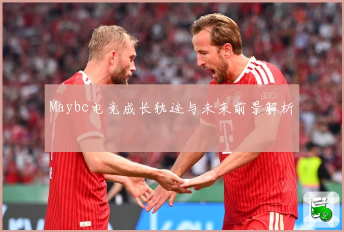 Maybe电竞成长轨迹与未来前景解析